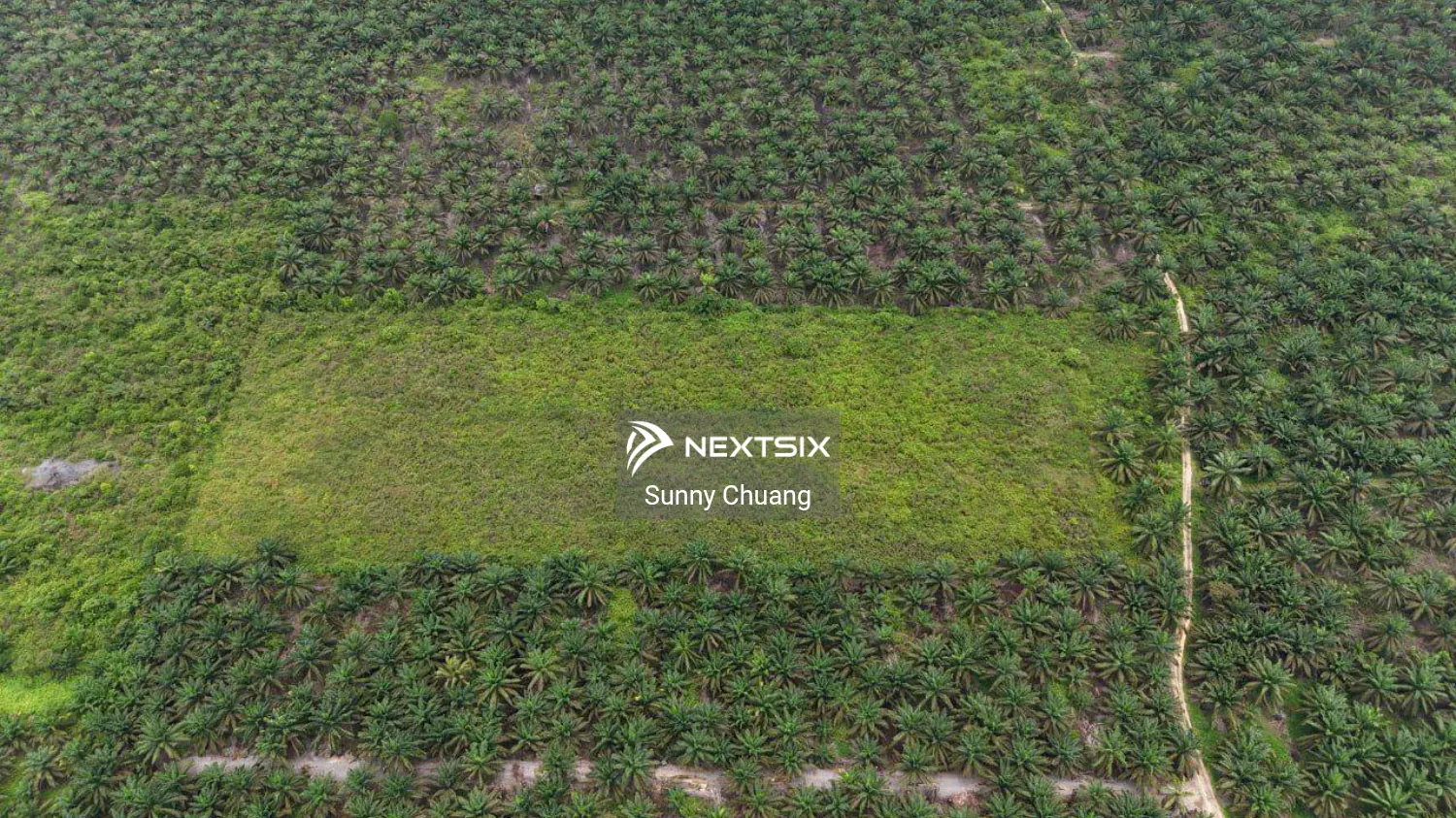 Agricultural Land For Sale in Kluang Johor - Image 4