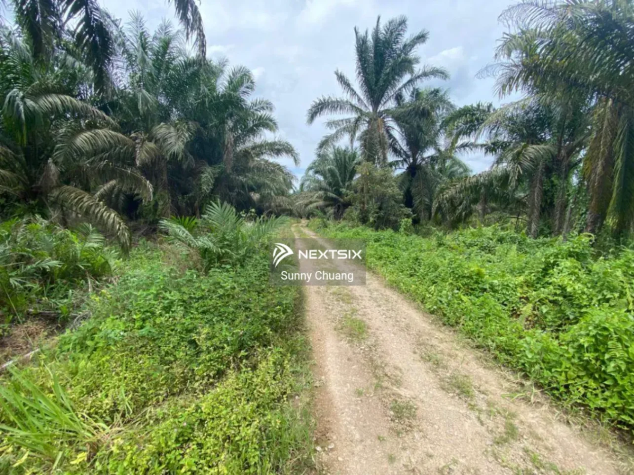 Agricultural Land For Sale in Kluang Johor - Image 5