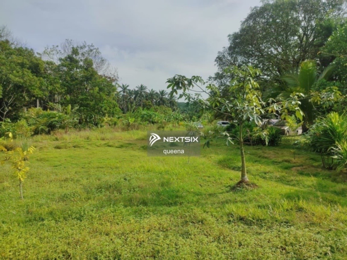 Agricultural Land For Sale in Kota Tinggi Johor
