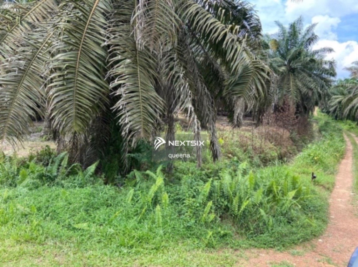 Agricultural Land For Sale in Kota Tinggi Johor - Image 4