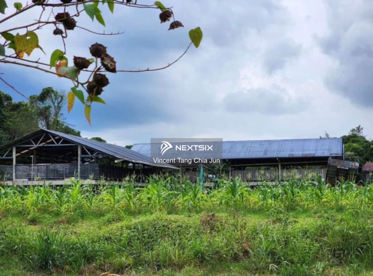 Agricultural Land For Sale in Kuching Sarawak - Image 6