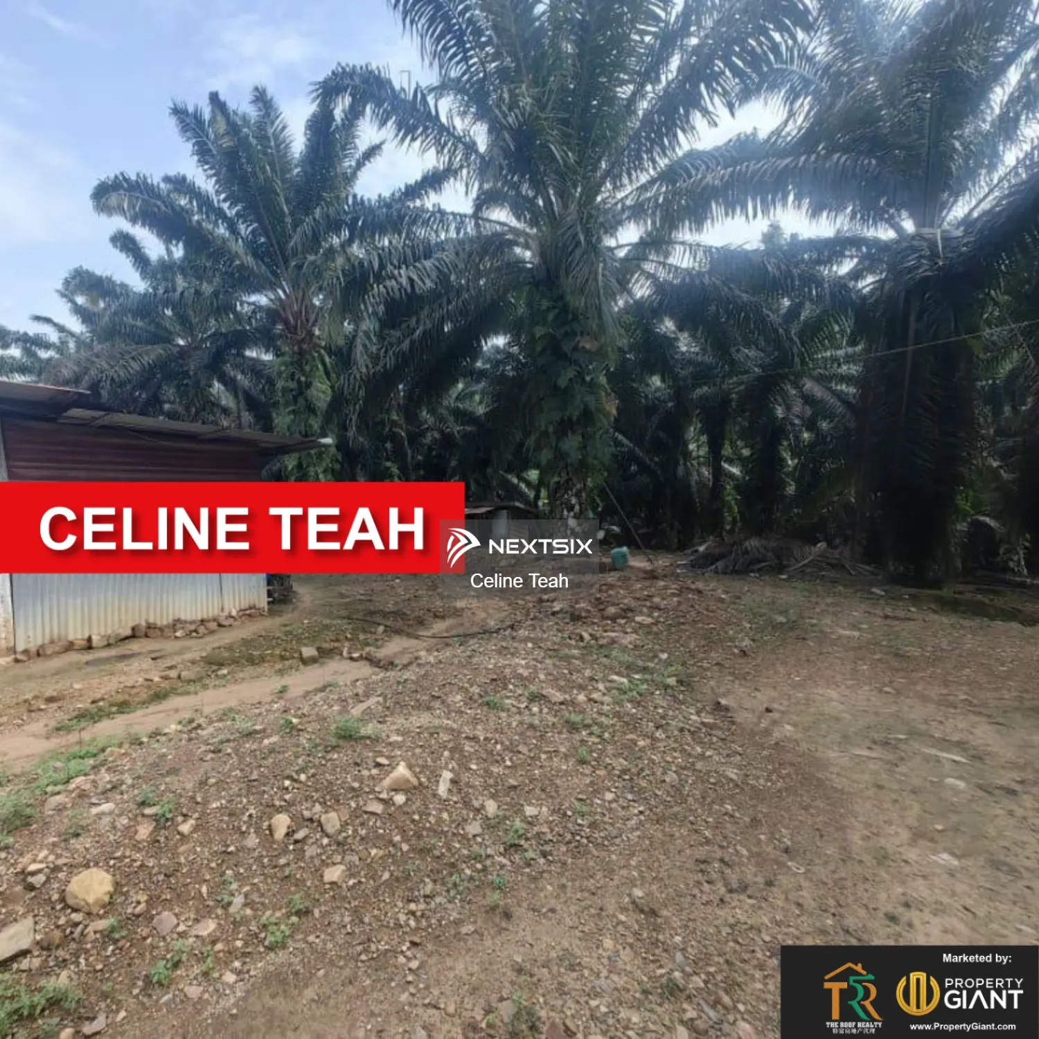 Agricultural Land For Sale in Kota Marudu Sabah