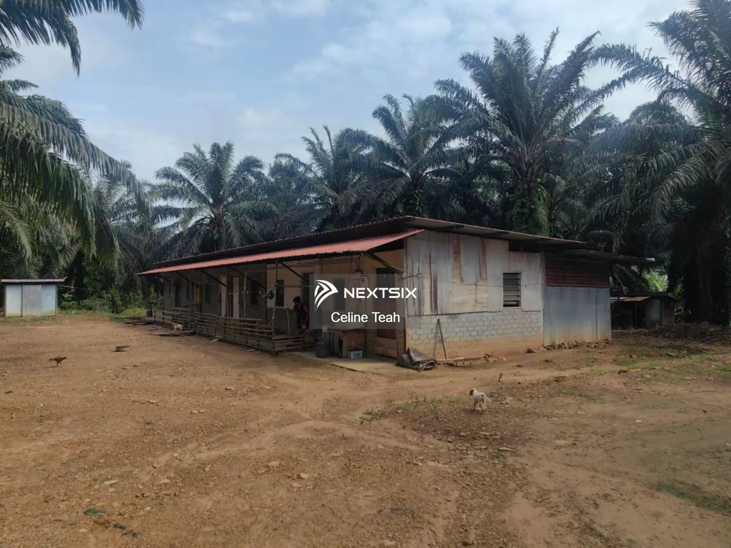 Agricultural Land For Sale in Kota Marudu Sabah - Image 6
