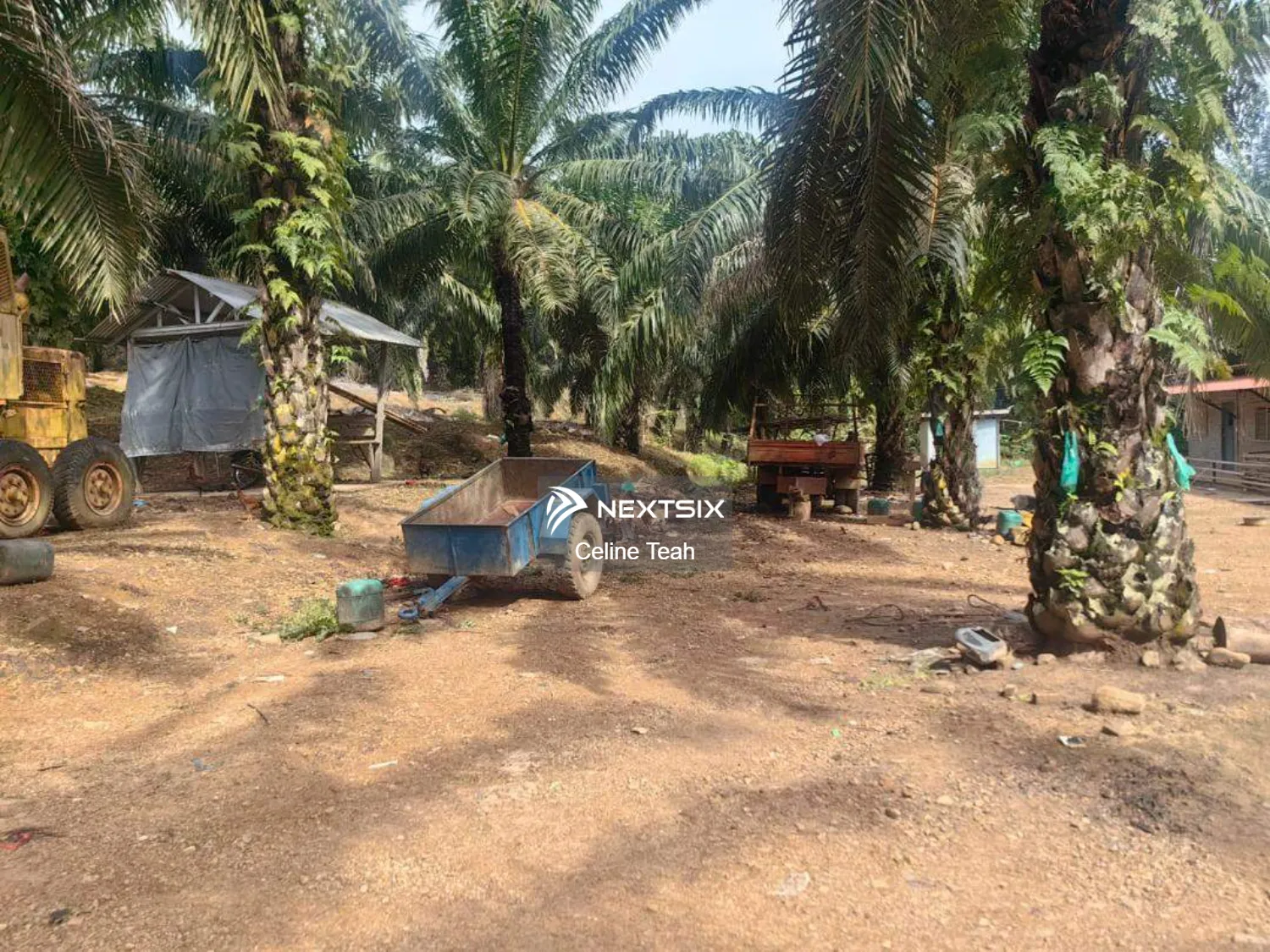 Agricultural Land For Sale in Kota Marudu Sabah - Image 8