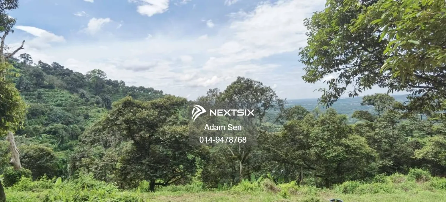 Agricultural Land For Sale in Chenderiang Perak - Image 2