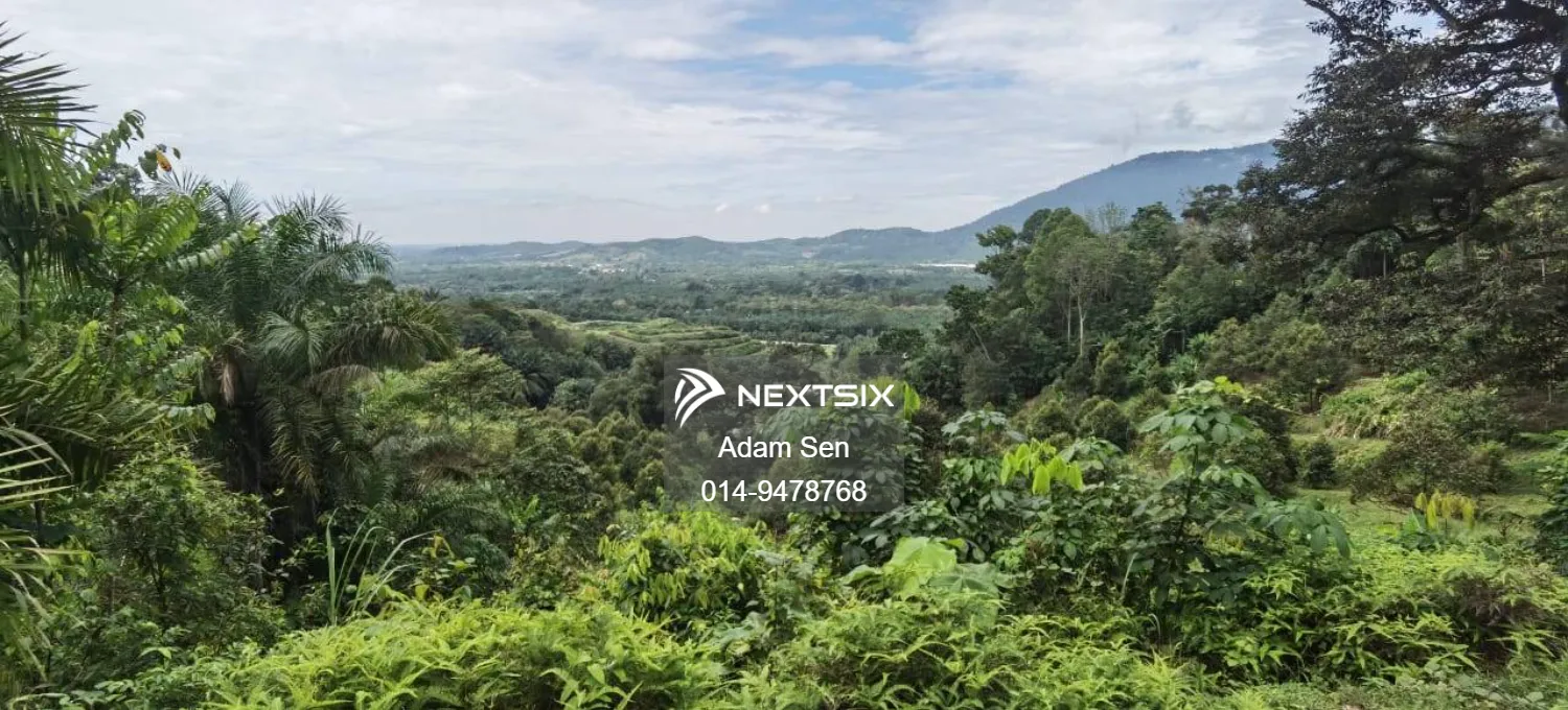 Agricultural Land For Sale in Chenderiang Perak - Image 3