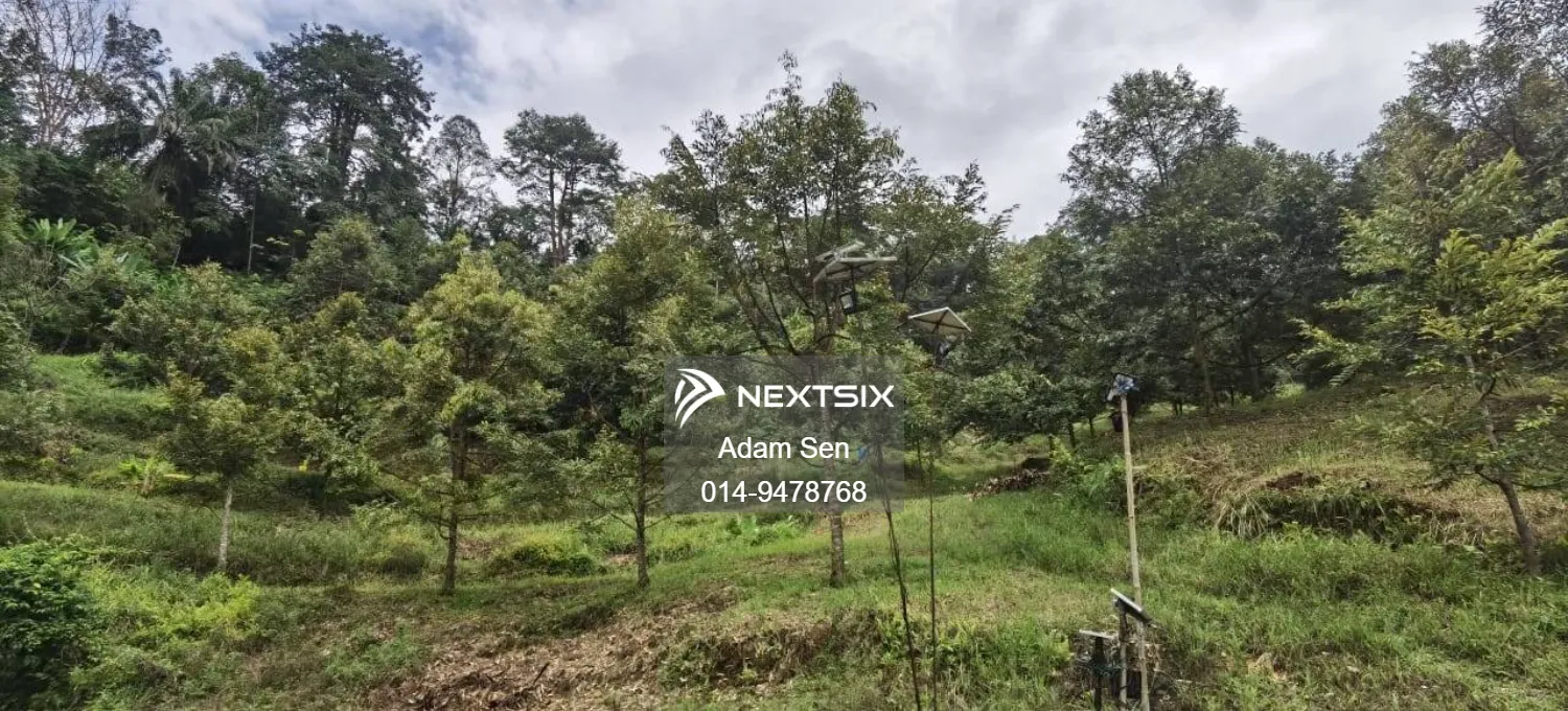 Agricultural Land For Sale in Chenderiang Perak - Image 4