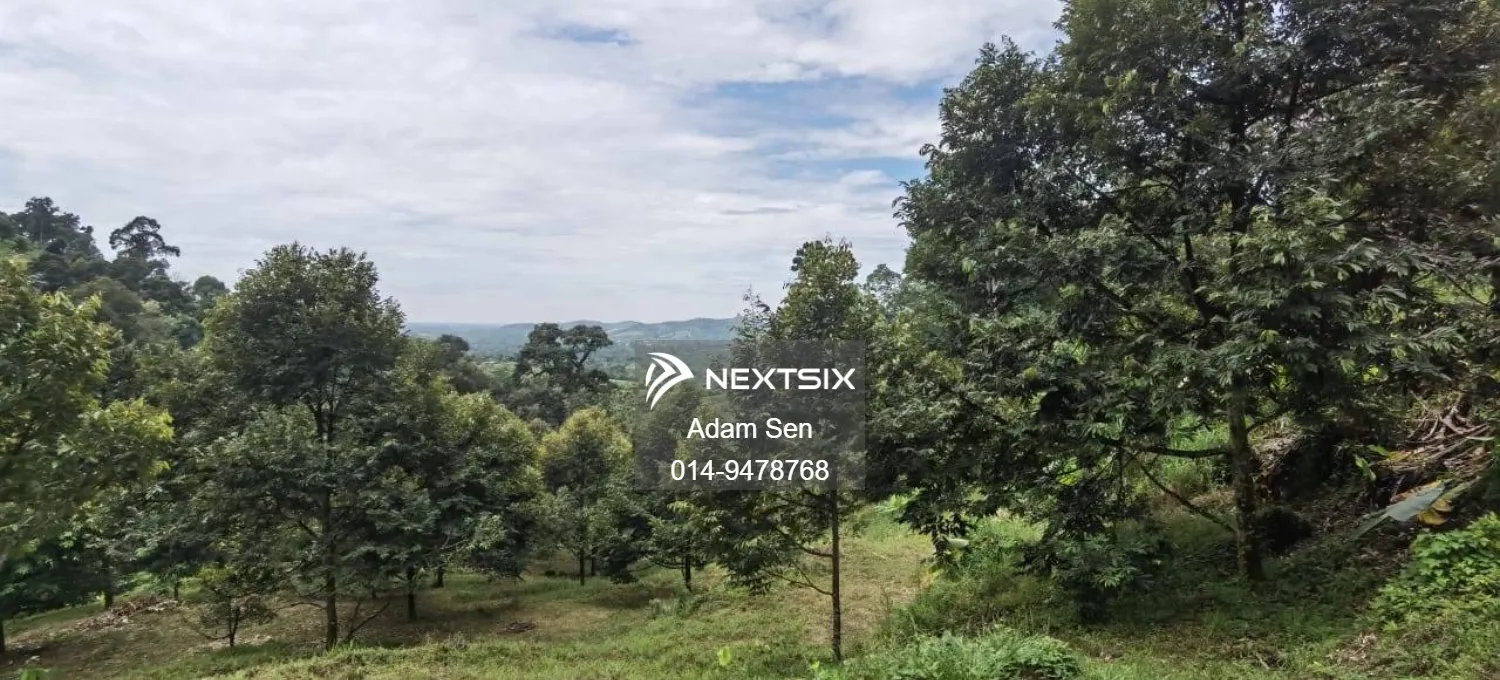 Agricultural Land For Sale in Chenderiang Perak - Image 5