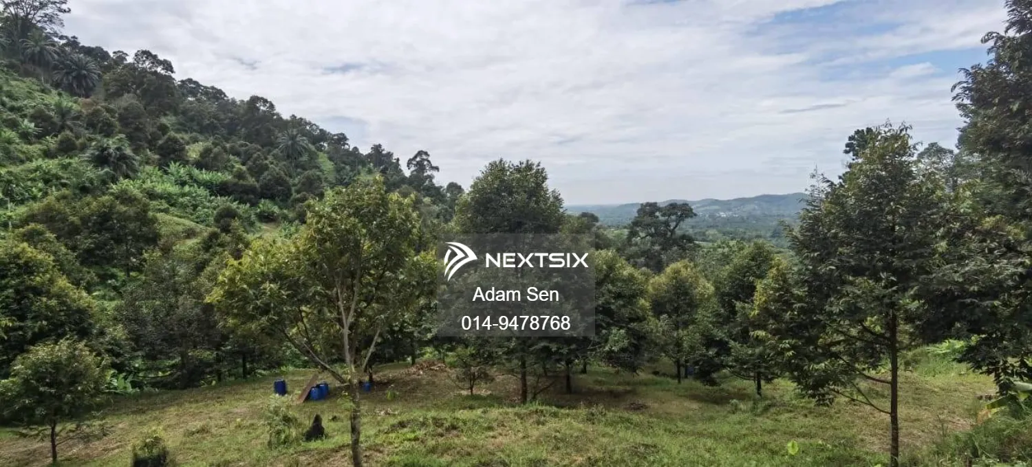 Agricultural Land For Sale in Chenderiang Perak - Image 6