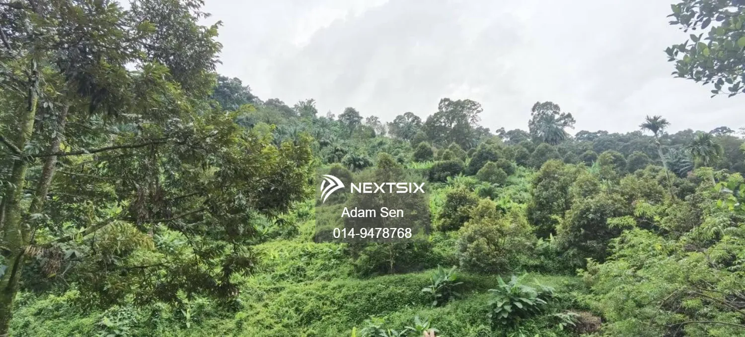 Agricultural Land For Sale in Chenderiang Perak - Image 7