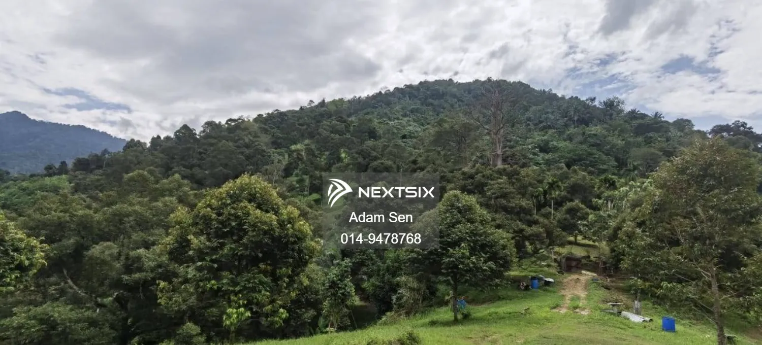 Agricultural Land For Sale in Chenderiang Perak - Image 8