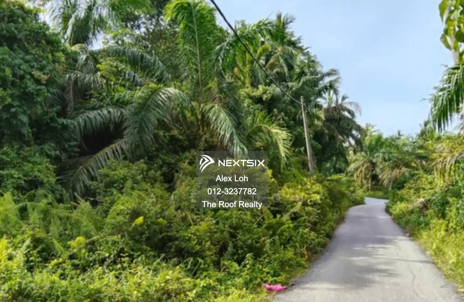 Agricultural Land For Sale in Balik Pulau Penang - Image 2