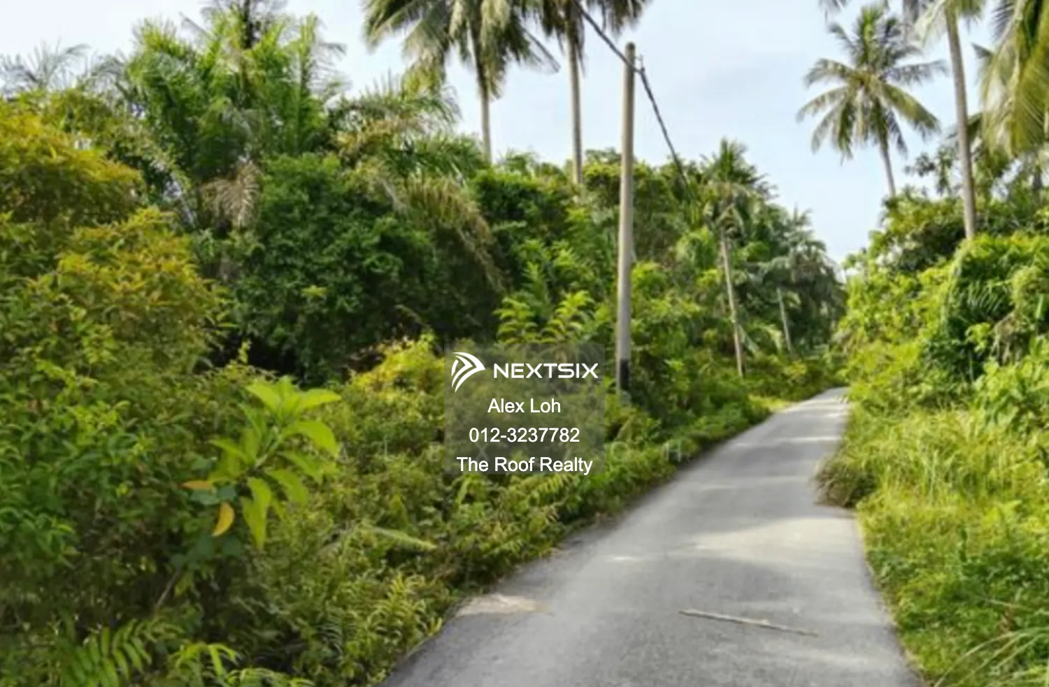 Agricultural Land For Sale in Balik Pulau Penang - Image 3