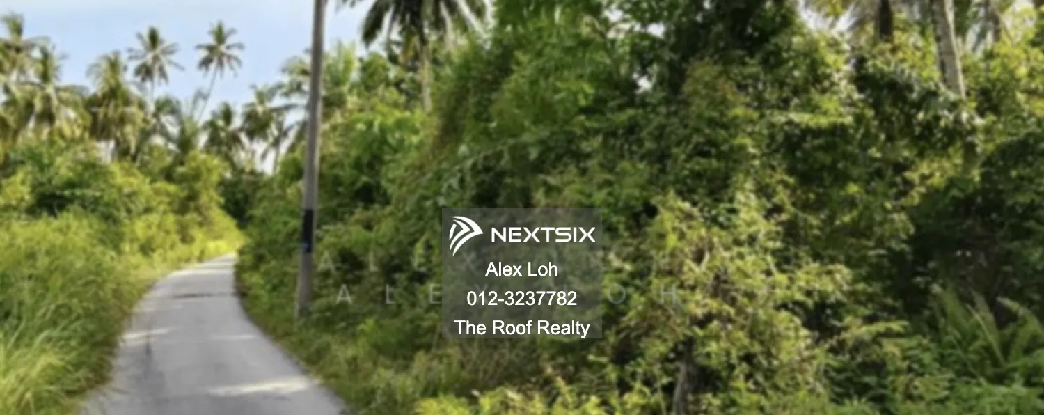 Agricultural Land For Sale in Balik Pulau Penang - Image 5