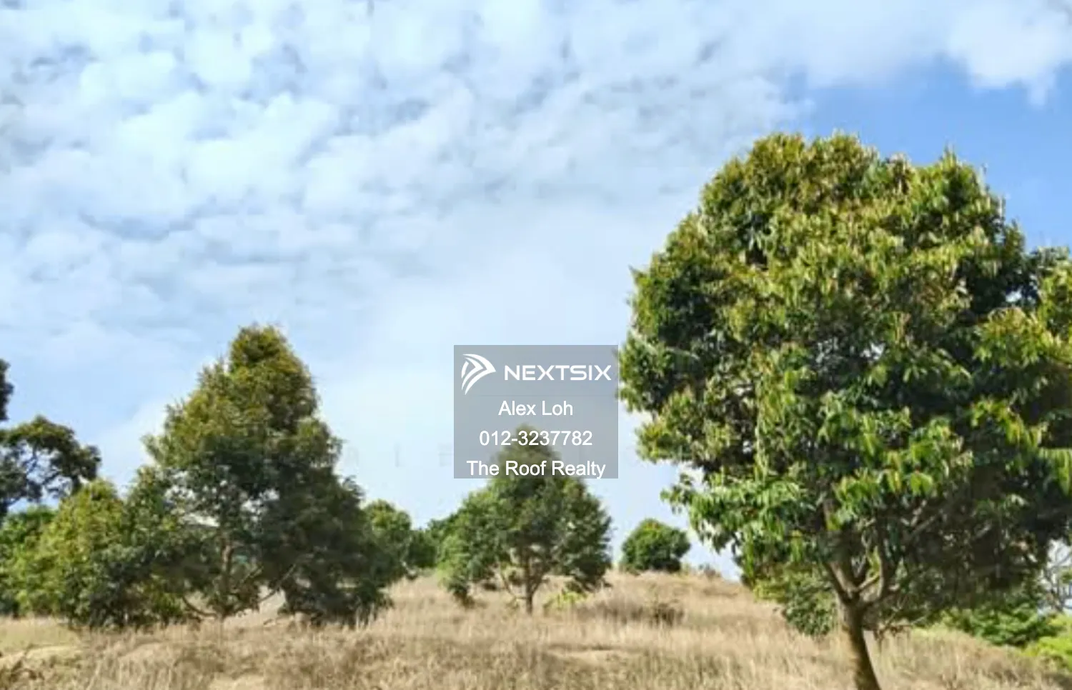 Agricultural Land For Sale in Bayan Lepas Penang - Image 5