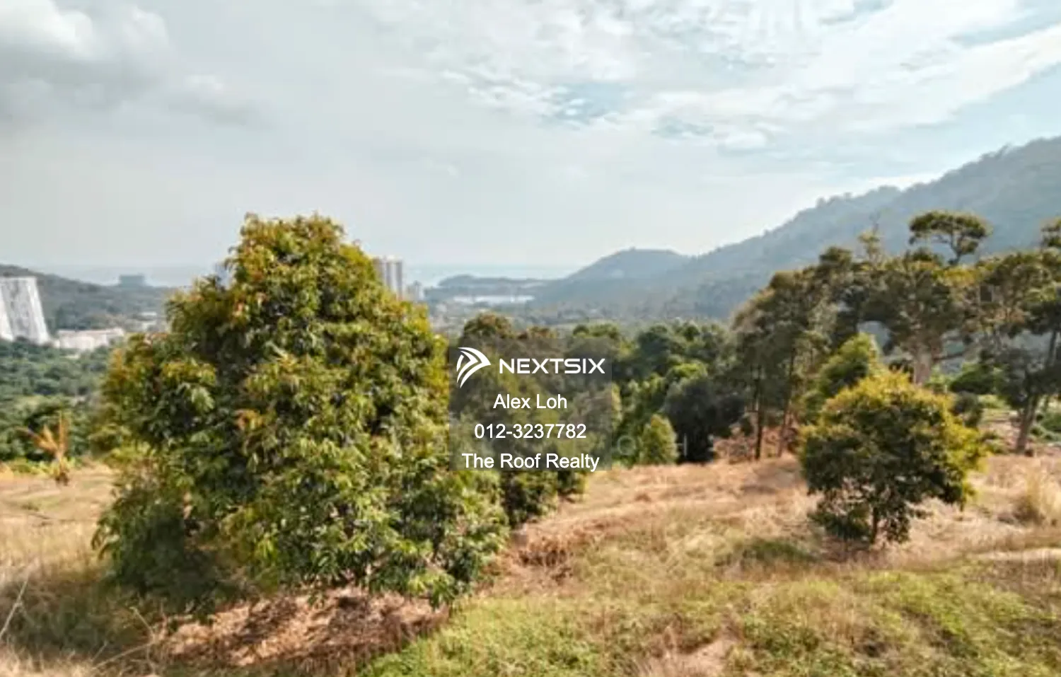 Agricultural Land For Sale in Bayan Lepas Penang - Image 6