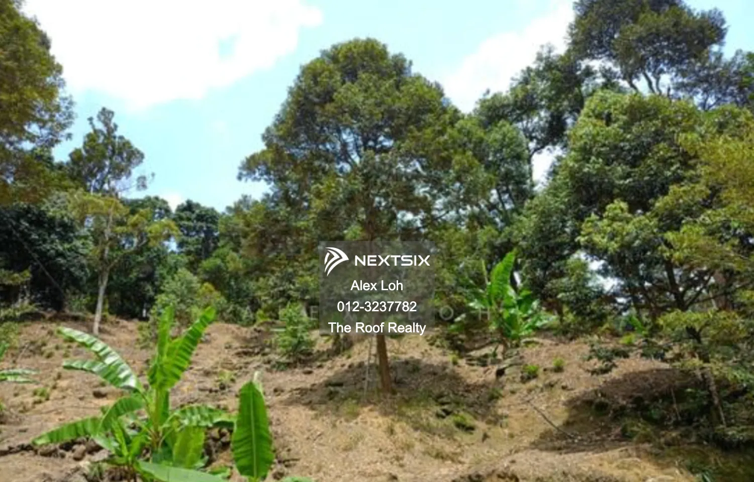 Agricultural Land For Sale in Balik Pulau Penang - Image 5