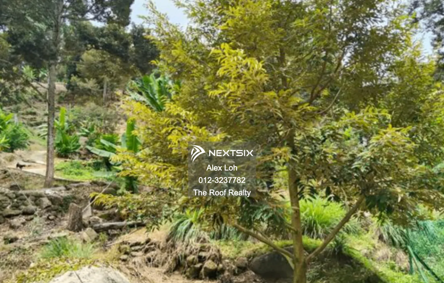 Agricultural Land For Sale in Balik Pulau Penang - Image 6