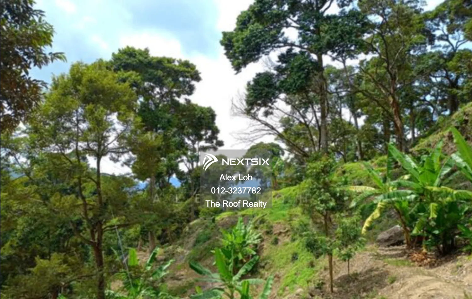 Agricultural Land For Sale in Balik Pulau Penang - Image 7