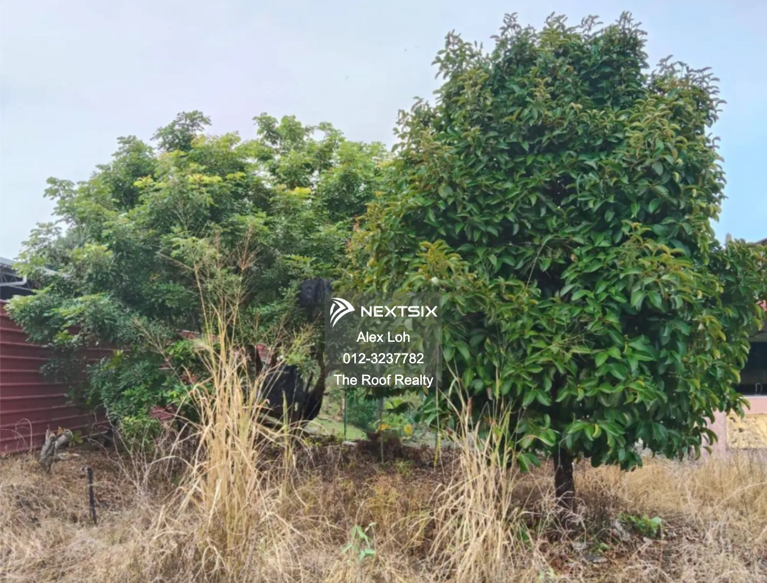 Residential Land For Sale in Balik Pulau Penang - Image 6