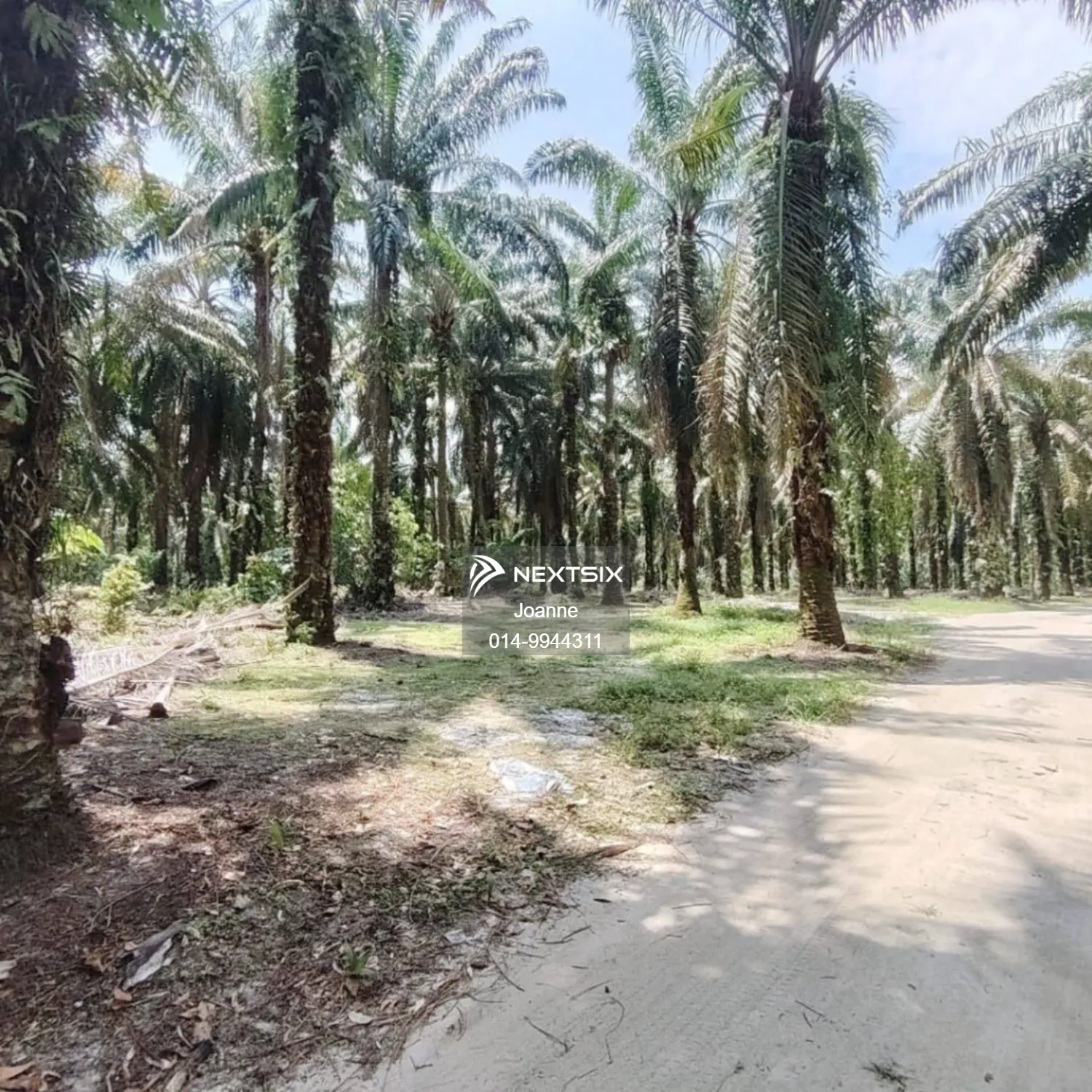 Industrial Land For Sale in Pekan Nanas Johor
