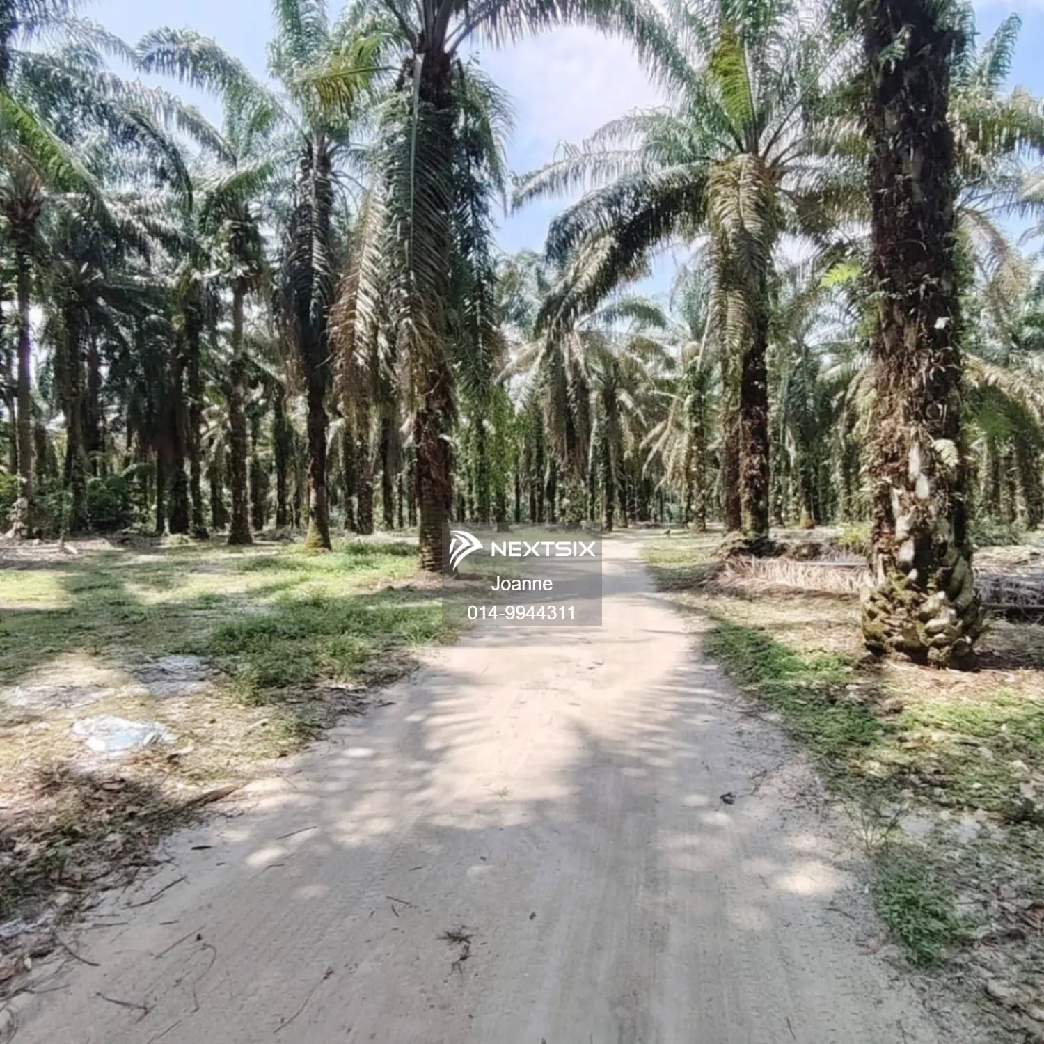 Industrial Land For Sale in Pekan Nanas Johor - Image 2