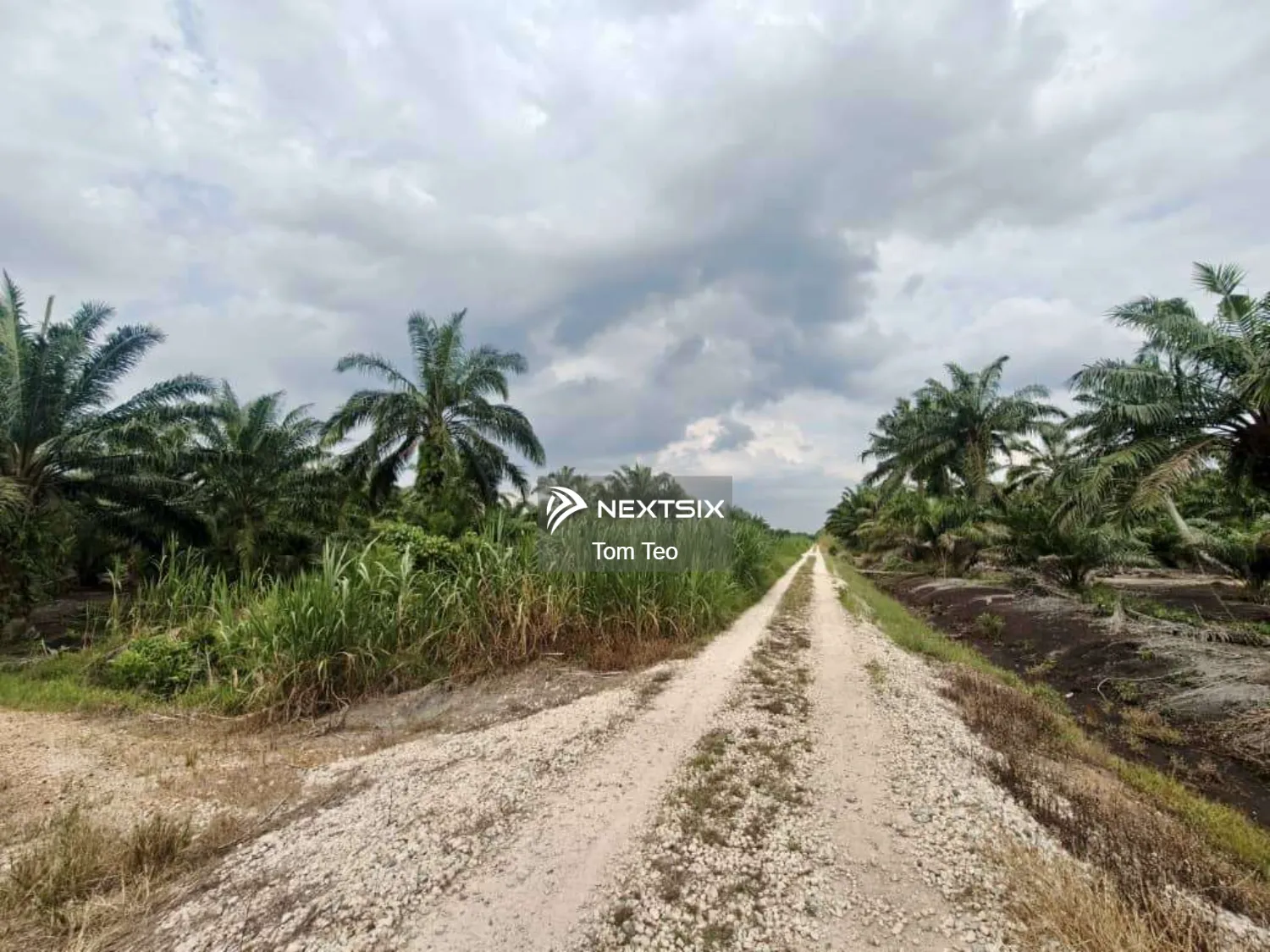Agricultural Land For Sale in Kukup Johor