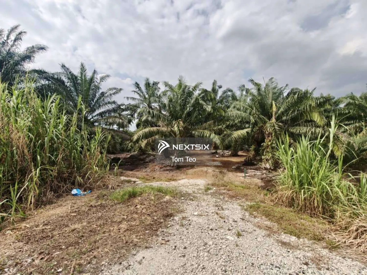 Agricultural Land For Sale in Kukup Johor - Image 5