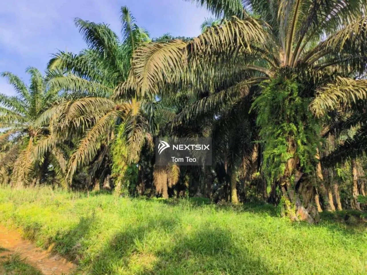 Agricultural Land For Sale in Kulai Johor - Image 4