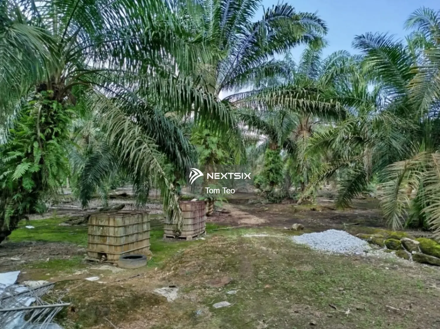 Agricultural Land For Sale in Pontian Johor