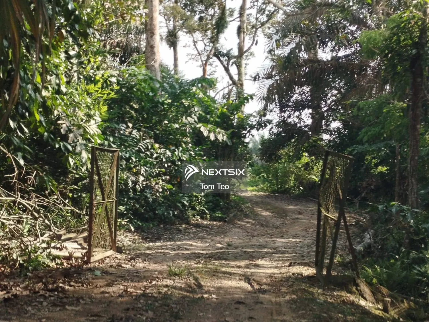 Agricultural Land For Sale in Pontian Johor - Image 5