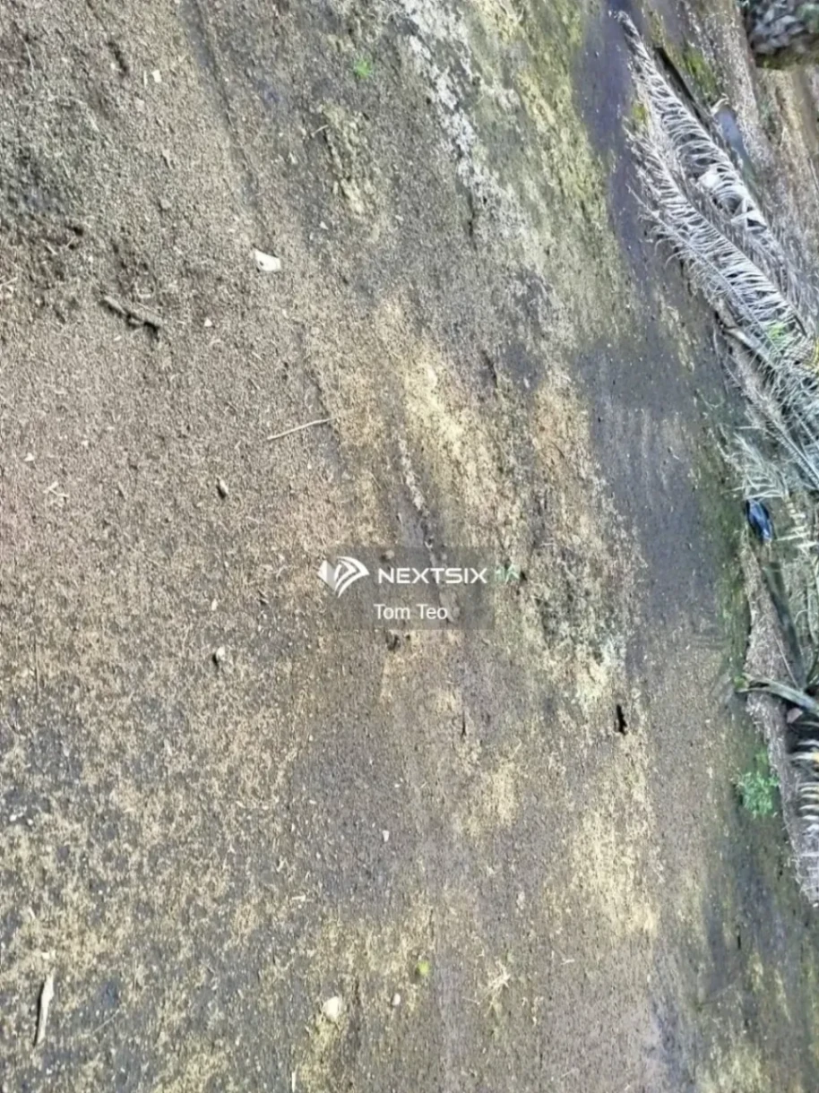 Agricultural Land For Sale in Pontian Johor - Image 6