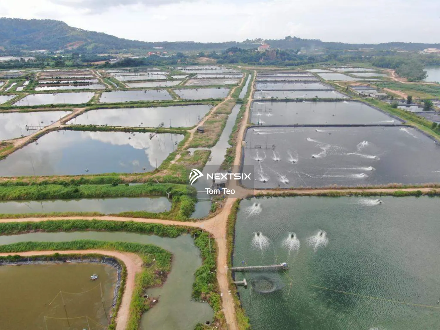 Agricultural Land For Sale in Batu Pahat Johor - Image 2