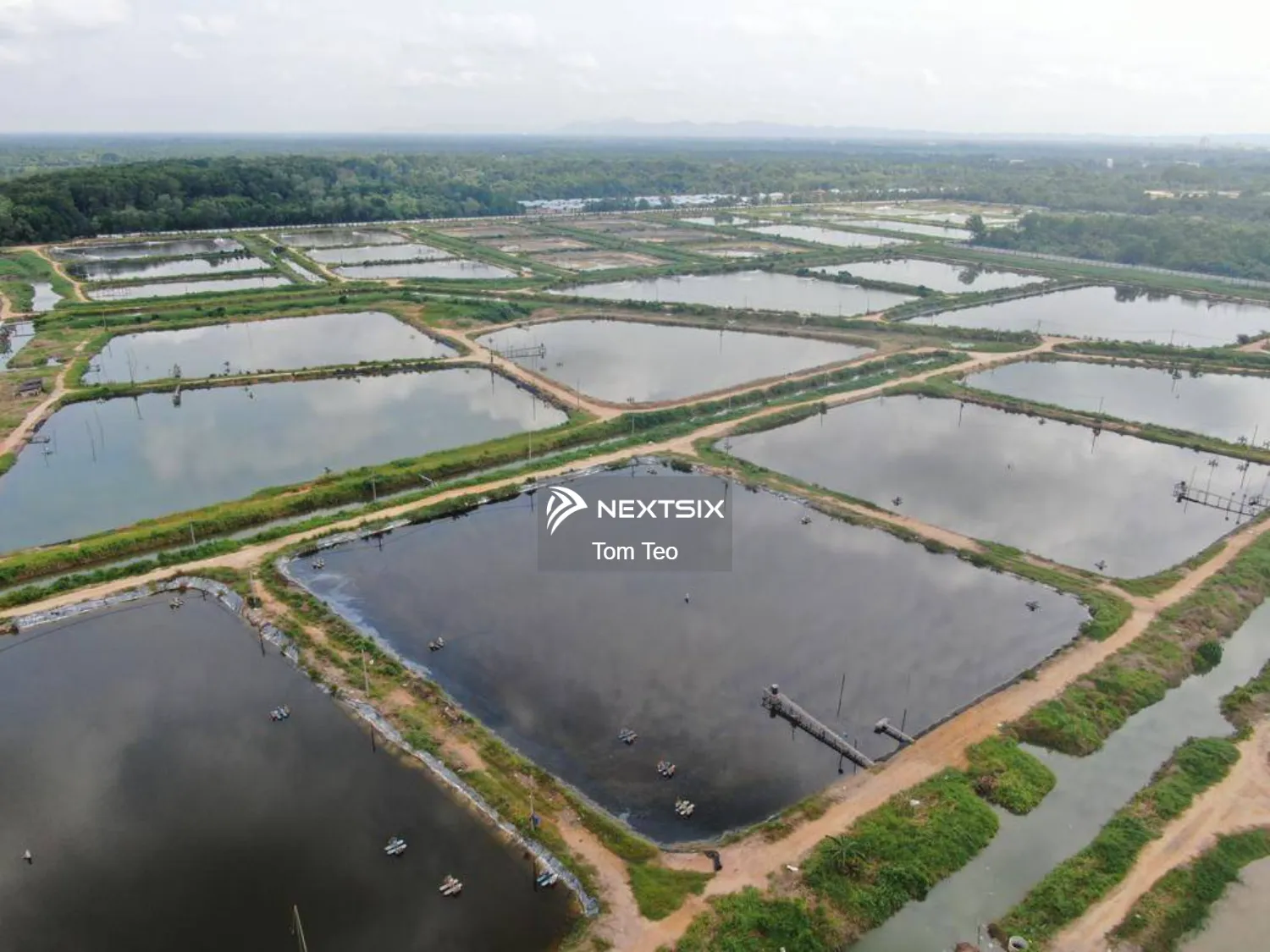 Agricultural Land For Sale in Batu Pahat Johor - Image 4