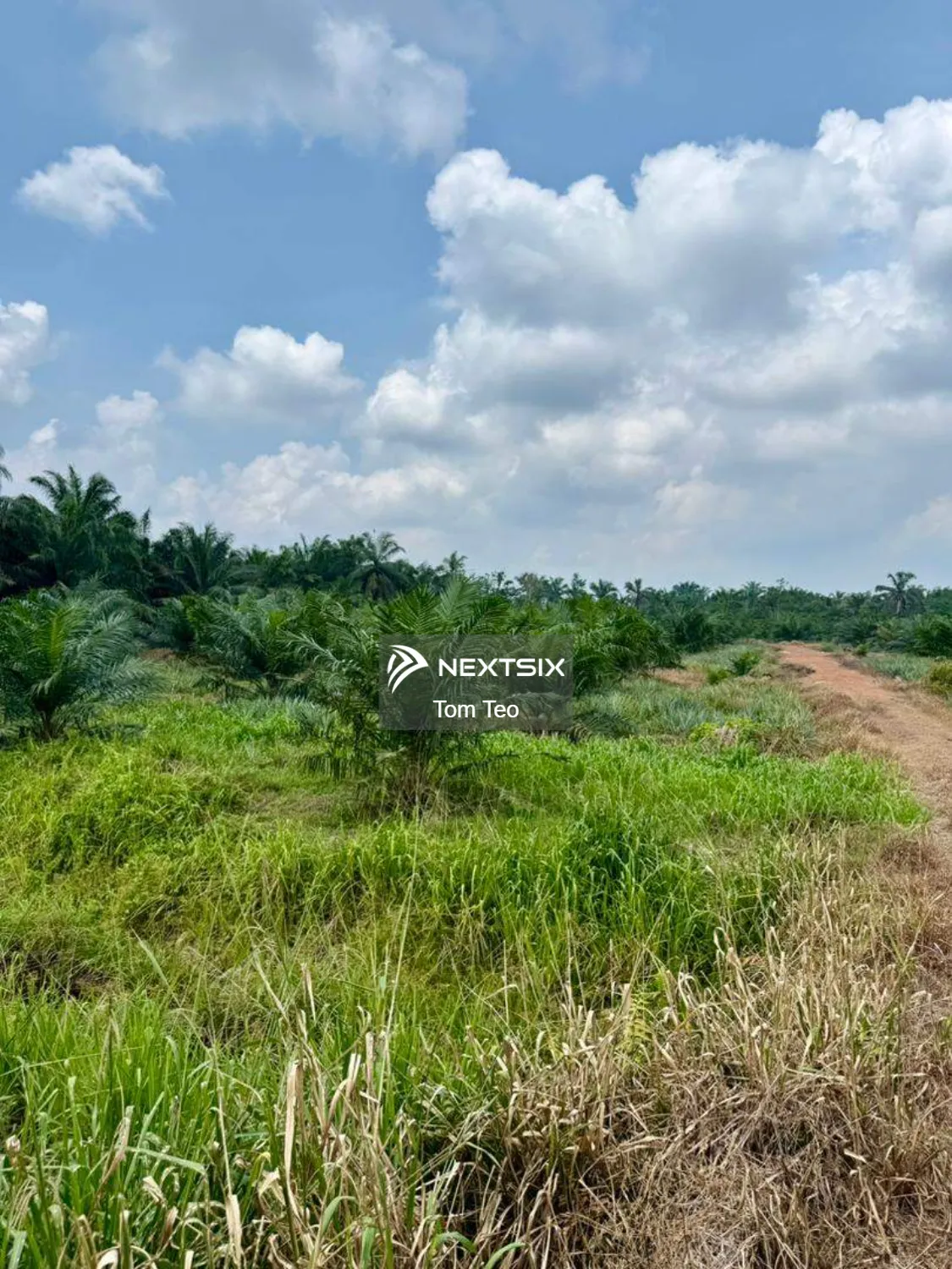 Agricultural Land For Sale in Benut Johor