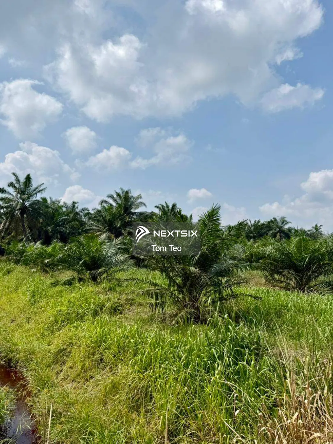 Agricultural Land For Sale in Benut Johor - Image 2