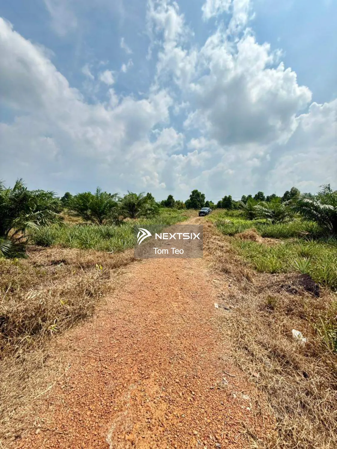 Agricultural Land For Sale in Benut Johor - Image 4