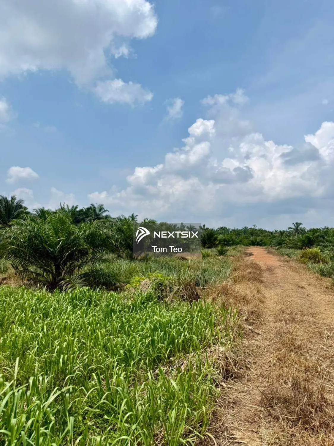 Agricultural Land For Sale in Benut Johor - Image 5