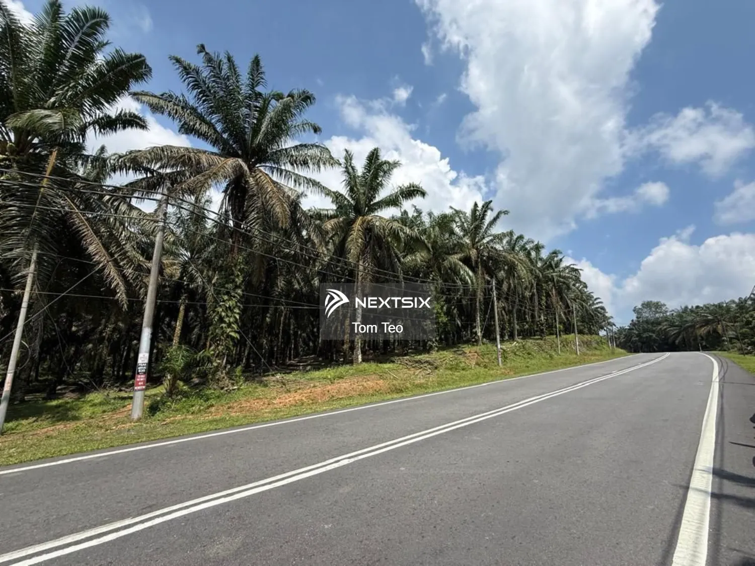 Agricultural Land For Sale in Kota Tinggi Johor - Image 3