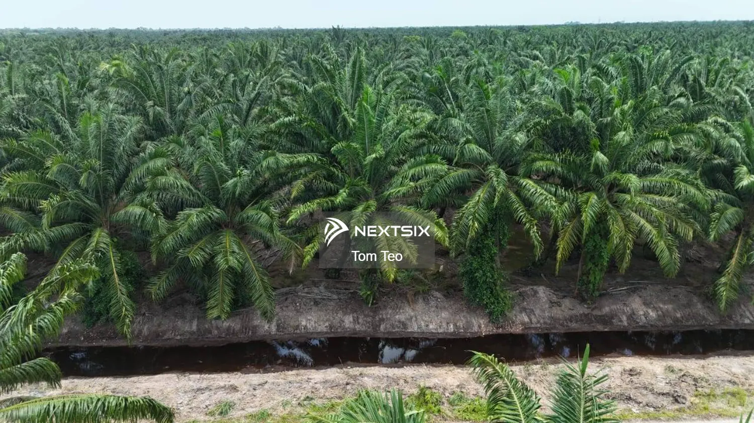 Agricultural Land For Sale in Pontian Johor