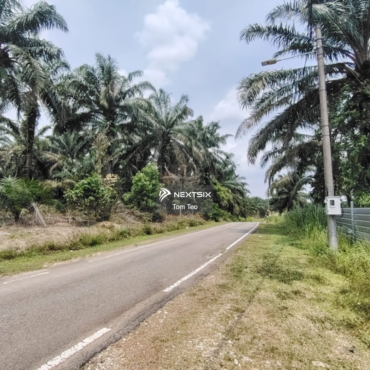 Agricultural Land For Sale in Simpang Rengam Johor