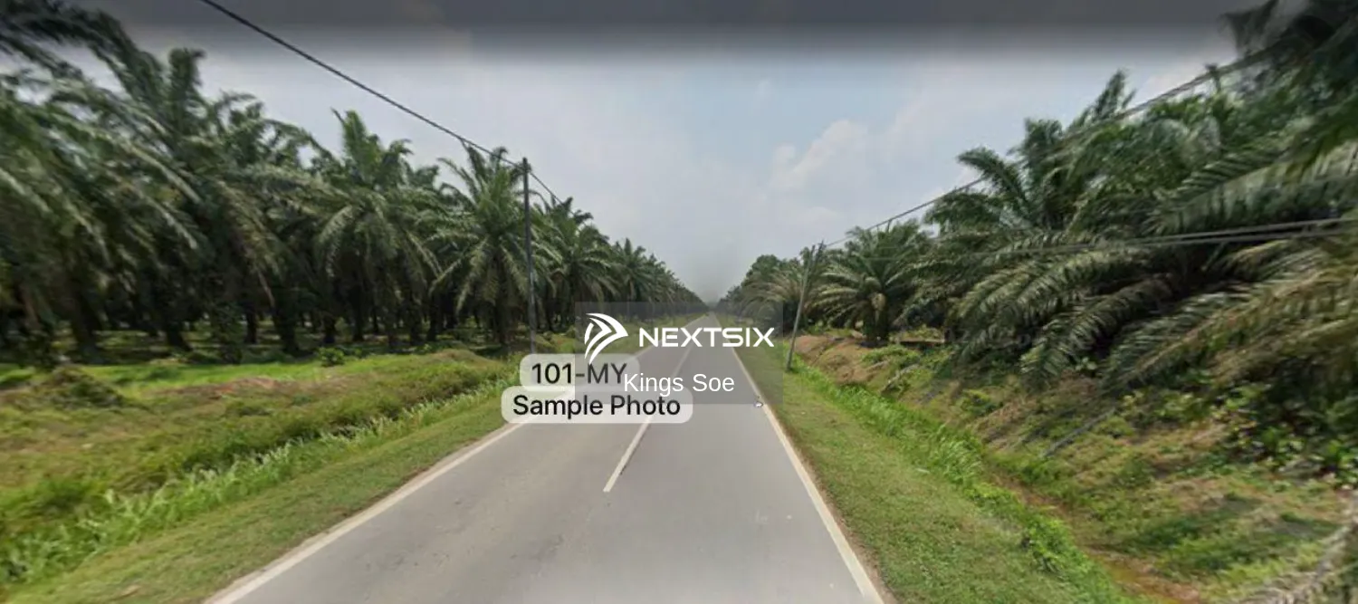 Agricultural Land For Sale in Kuala Selangor Selangor - Image 5