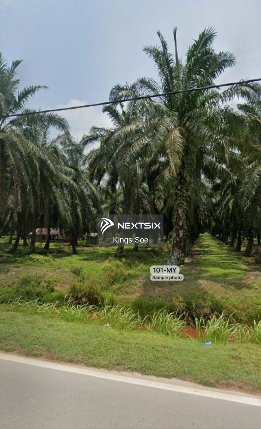 Agricultural Land For Sale in Kuala Selangor Selangor