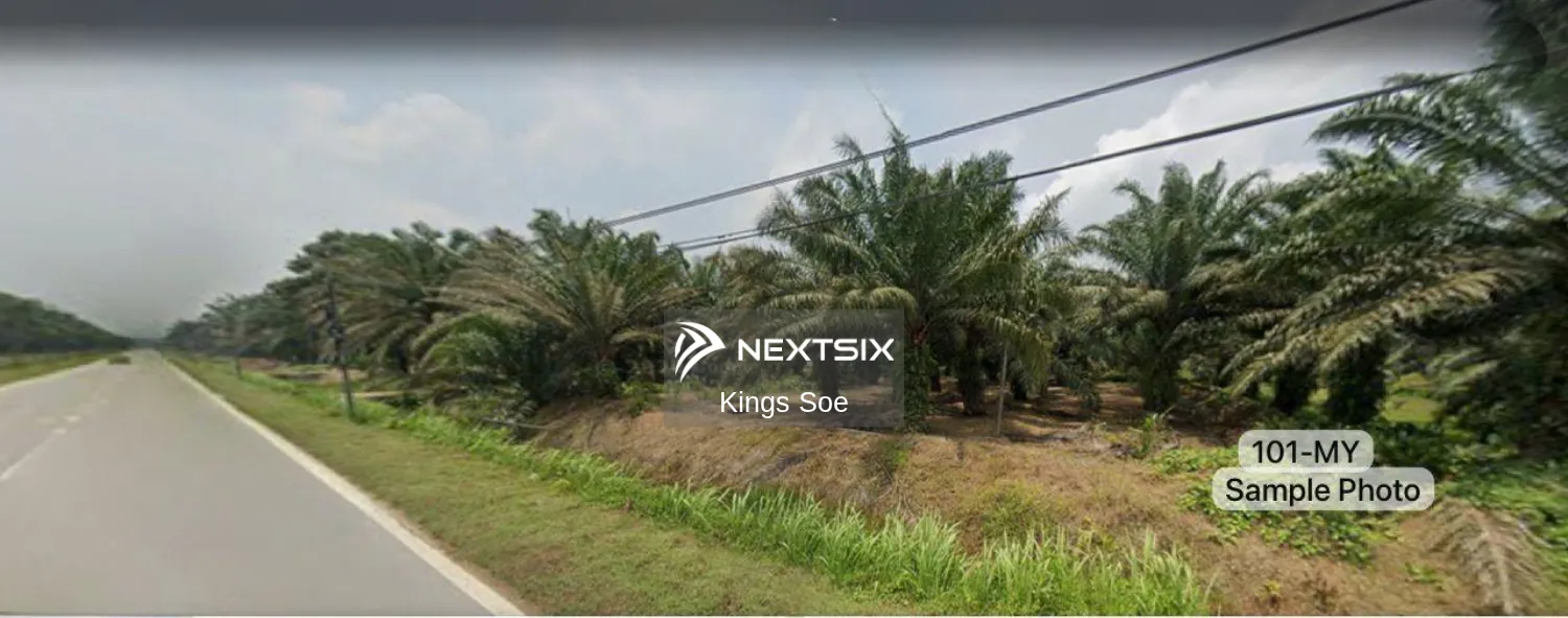Agricultural Land For Sale in Kuala Selangor Selangor - Image 4