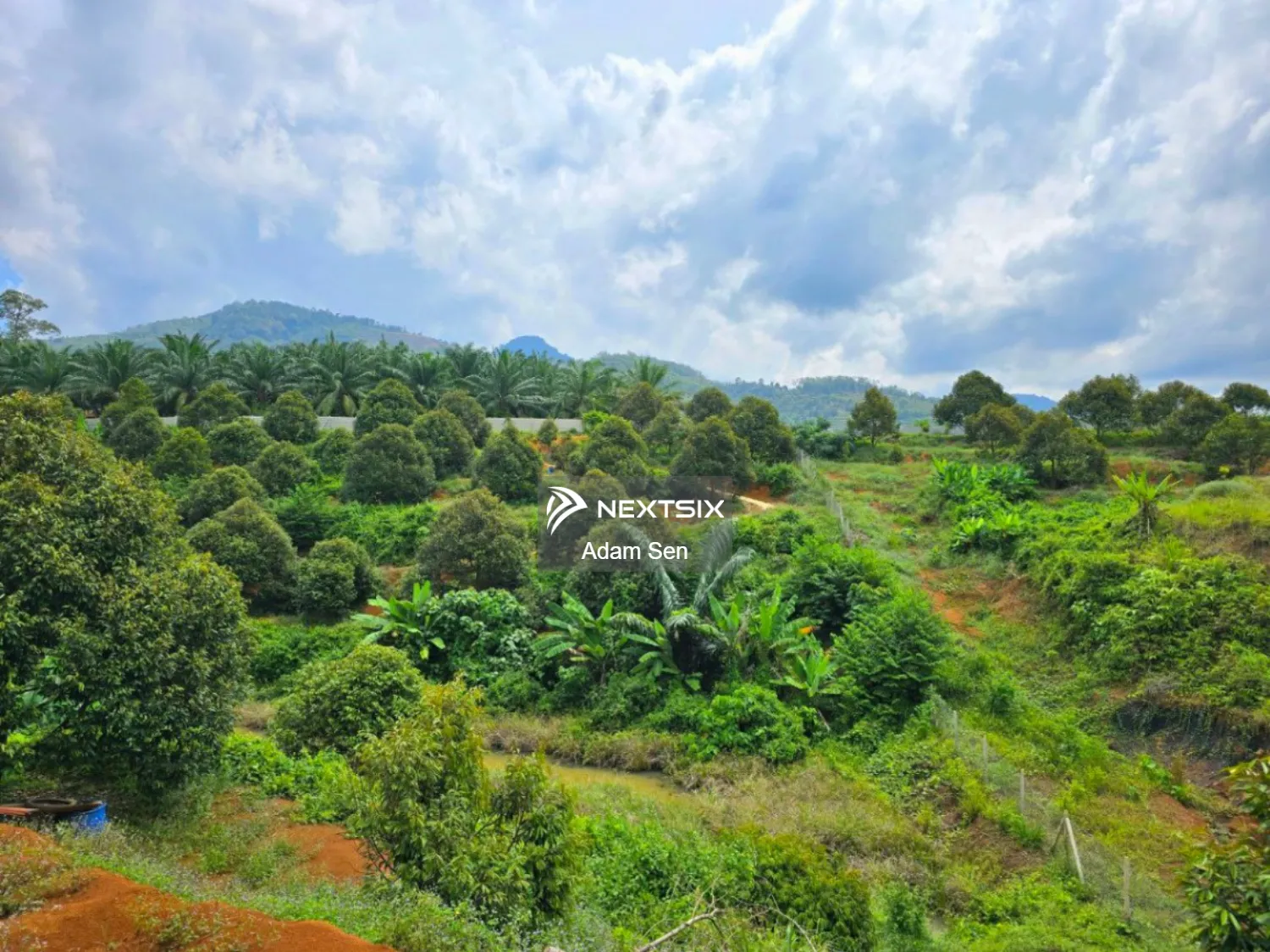 Agricultural Land For Sale in Pusing Perak - Image 5