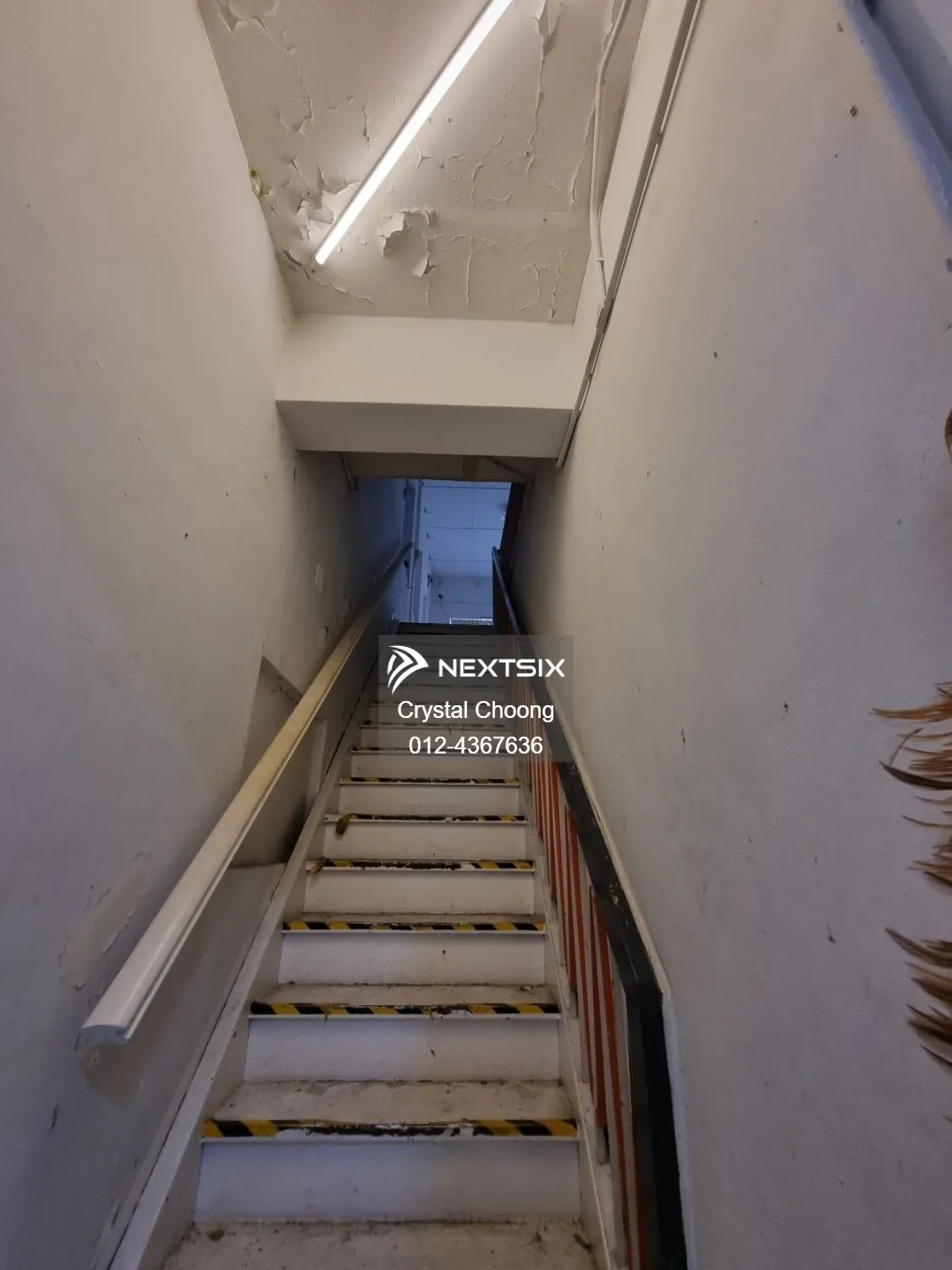 Commercial Bungalow For Rent in Tanjong Tokong Penang - Image 6