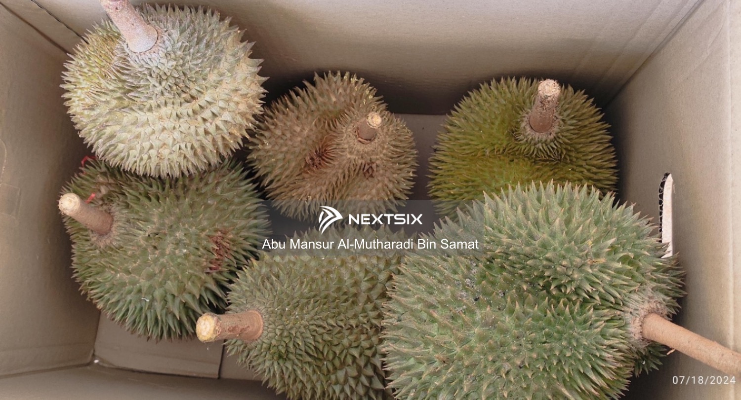 Agricultural Land For Sale in Kuala Klawang Negeri Sembilan - Image 11