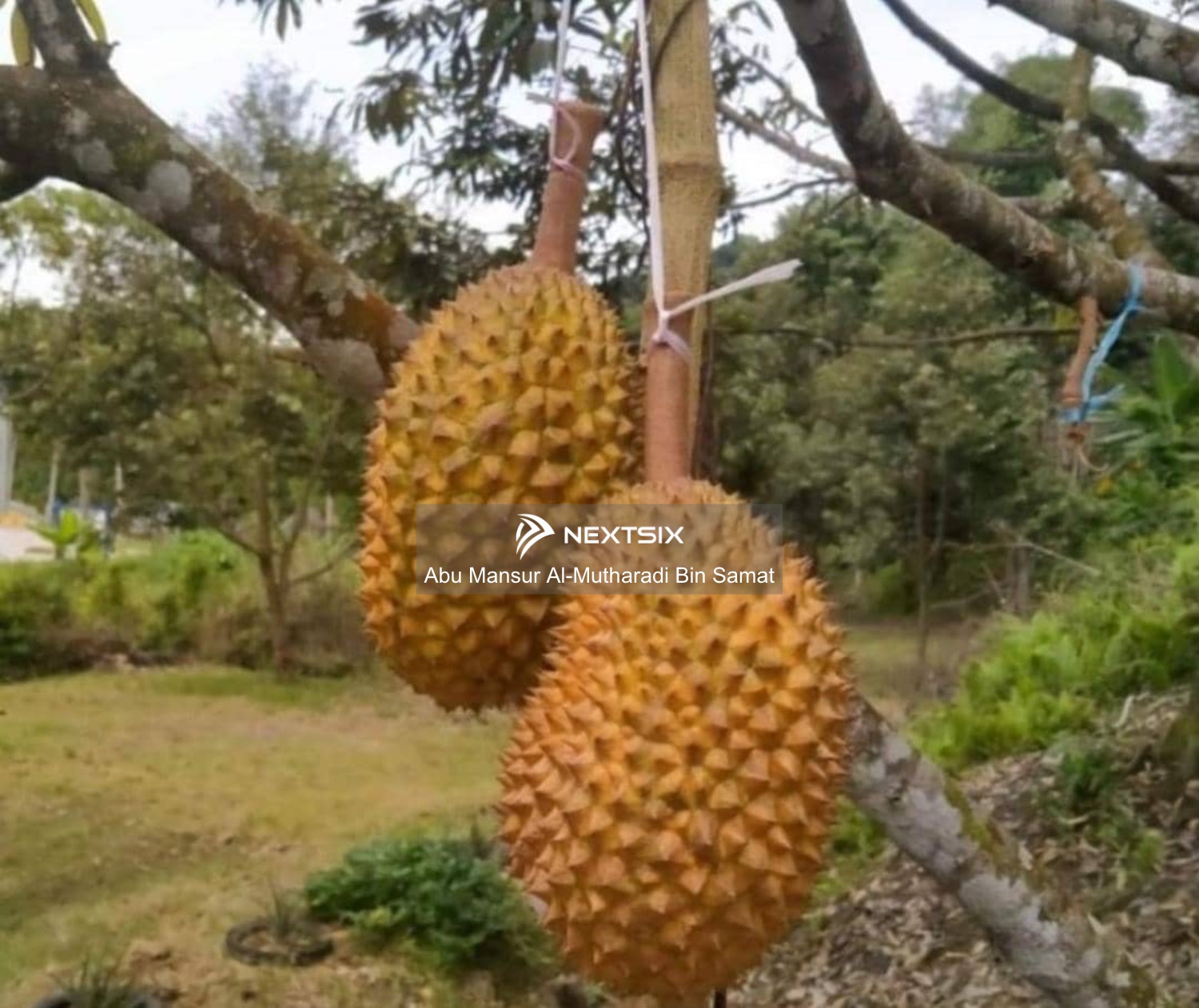 Agricultural Land For Sale in Kuala Klawang Negeri Sembilan - Image 12