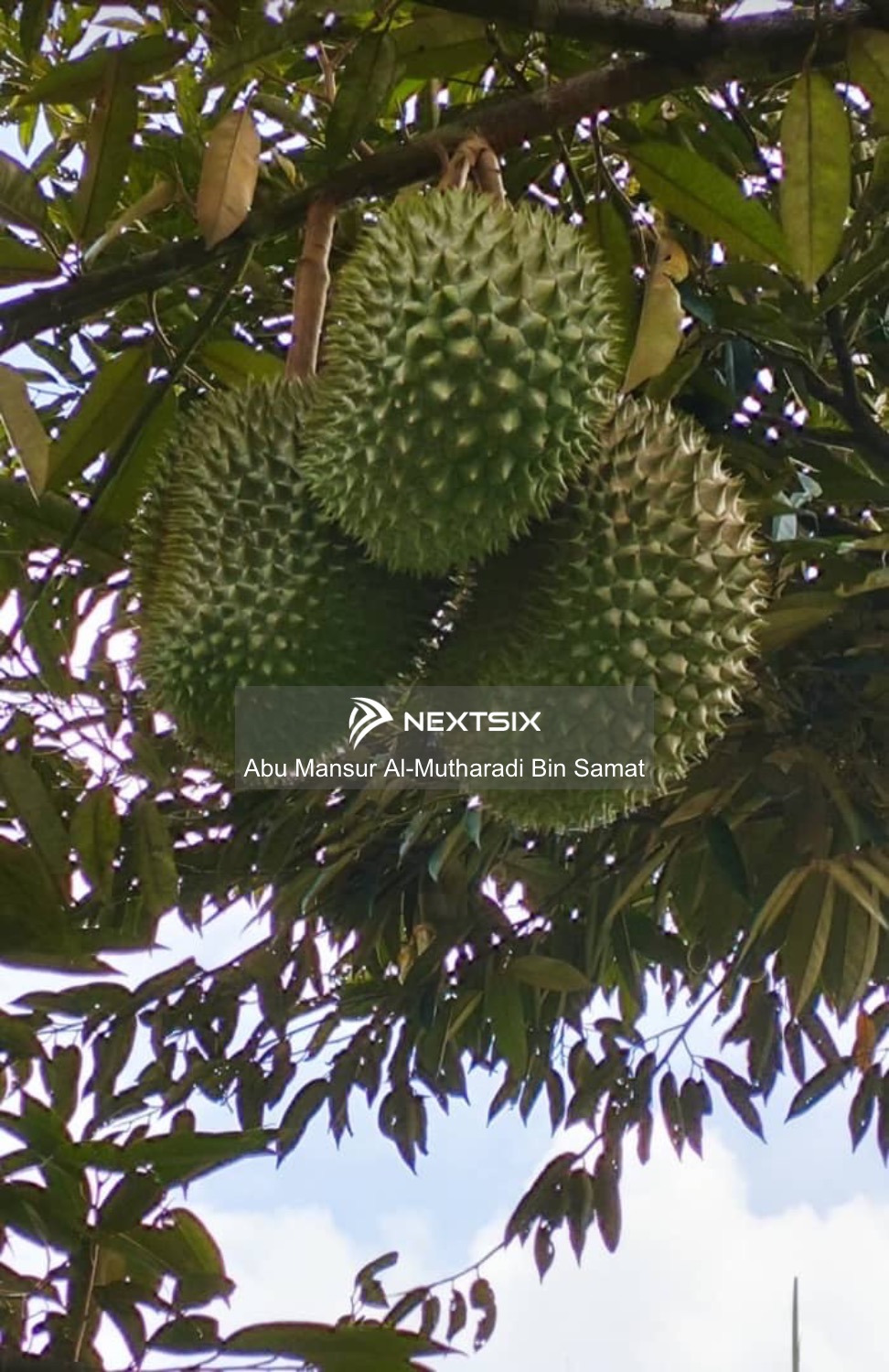 Agricultural Land For Sale in Kuala Klawang Negeri Sembilan - Image 13