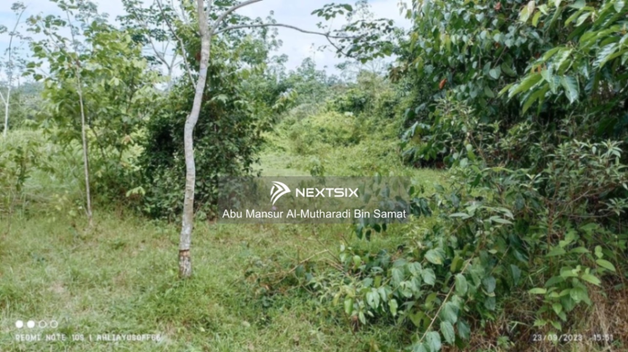 Agricultural Land For Sale in Pedas Negeri Sembilan